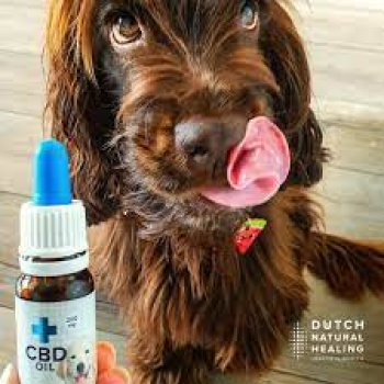 2% CBD Öl 20ml für Hunde